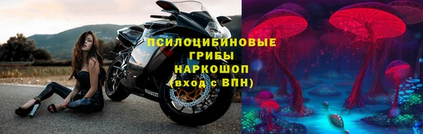 дмт Горнозаводск