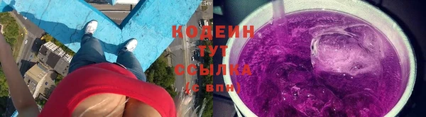 дмт Горняк