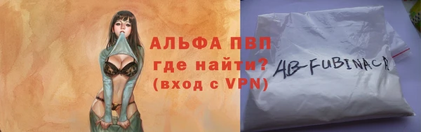 спиды Кропоткин